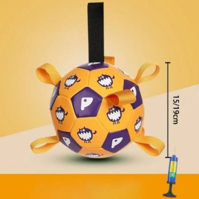 Ballon pour chien Dinosaure| Chien en balade