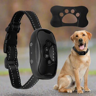 collier chien anti aboiement noir