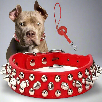 Collier cuir chien | Duo collier laisse rivets rouge