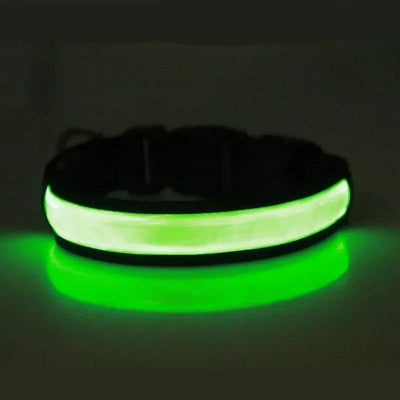 Collier lumineux pour chien Lumy-vert Chien en balade