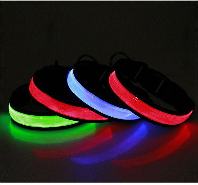 Collier lumineux pour chien|Lumyâą- Chien-Chien en balade