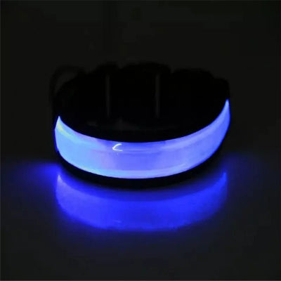 Collier lumineux pour chien -Lumy bleu Chien en balade