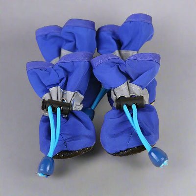 Bottes chien imperméable Bic bleu|Chien en balade