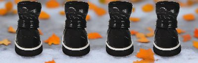 Bottes chien| Imperméable Thermo™ - Chien en balade