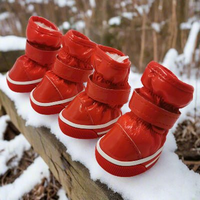 Bottes chien| Imperméable Thermo™ - Chien en balade
