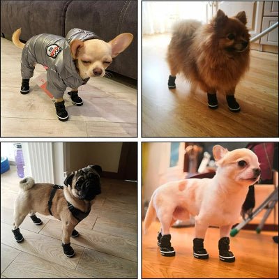 Bottes chien| Imperméable Thermo™ - Chien en balade