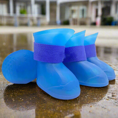 Bottes pour chien| imperméable Fluo bleu- Chien en balade