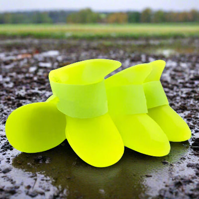 Bottes pour chien| imperméable Fluo jaune - Chien en balade