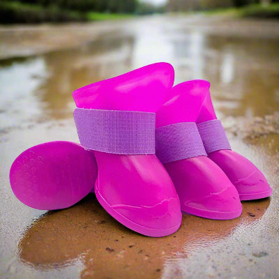 Bottes pour chien| imperméable Fluo violet - Chien en balade