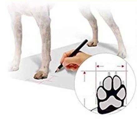 Chaussure chiens| tout - Terrain | PawProtectâą - Chien en balade