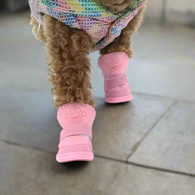 Chaussures pour Chien| Imperméables PawWarm - Chien en balade