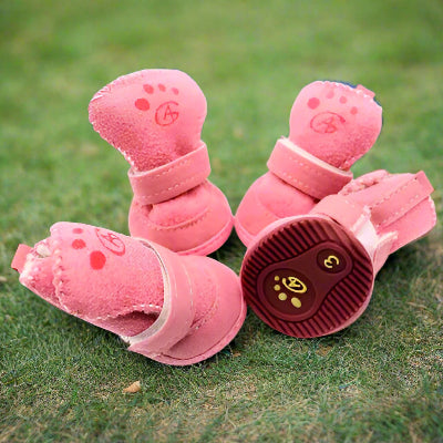 Chaussures Chien PawWarm Rose ensemble 4-Chien en balade
