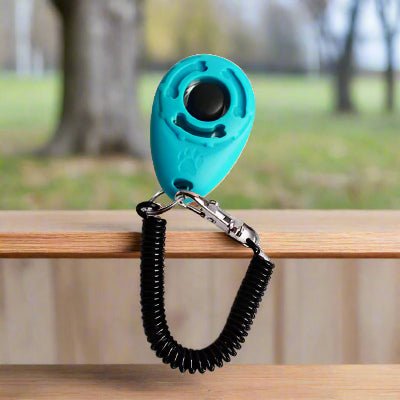 Clicker d'entrainement pour chien bleu- Chien en balade