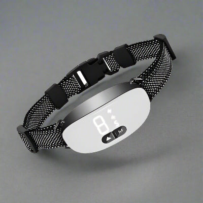 Collier anti aboiement boitier blanc| Intel - Chien en balade