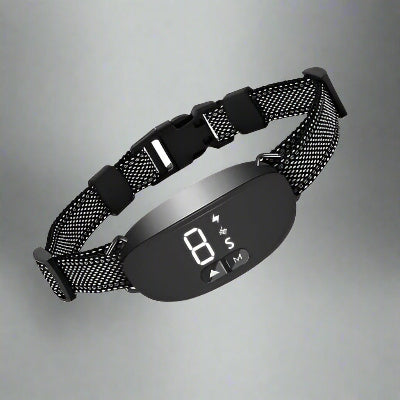 Collier anti aboiement boitier intel noir - Chien en balade