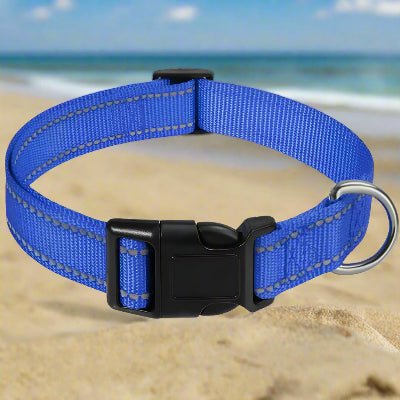 Collier chien |réfléchissant Reflect⹠- Chien en balade