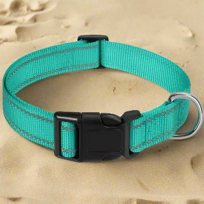 Collier chien |réfléchissant Reflect⹠- Chien en balade