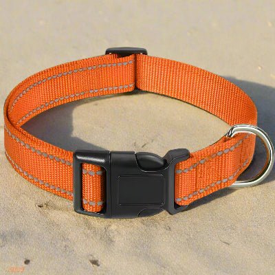 Collier chien |réfléchissant Reflect⹠- Chien en balade