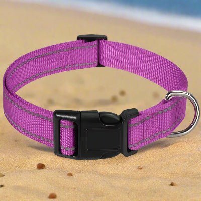 Collier chien |réfléchissant Reflect⹠- Chien en balade