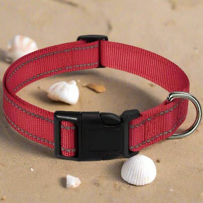 Collier chien |réfléchissant Reflect⹠- Chien en balade