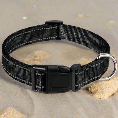 Collier chien |réfléchissant Reflect⹠- Chien en balade