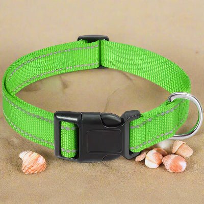 Collier chien |réfléchissant Reflect⹠- Chien en balade