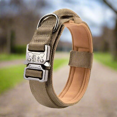 Collier chien tactique militaire chic beige - Chien en balade