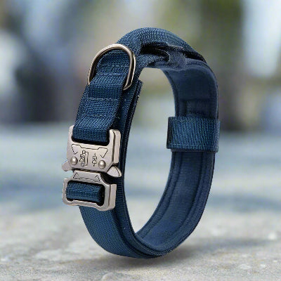 Collier chien tactique militaire chic bleu- Chien en balade