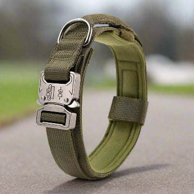 Collier chien tactique militaire chic kaki- Chien en balade