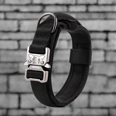 Collier chien tactique militaire chic noir- Chien en balade