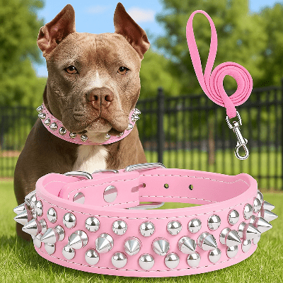 Collier cuir chien | Duo collier laisse rivetsâą - Chien en balade