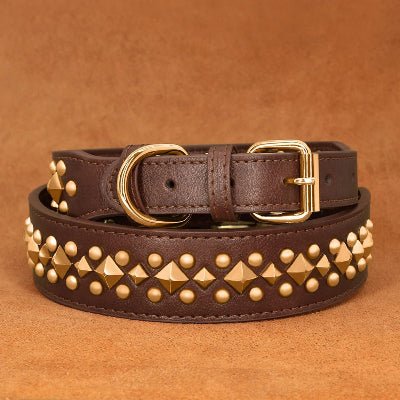 Collier cuir chien | Élégance™ - Chien en balade
