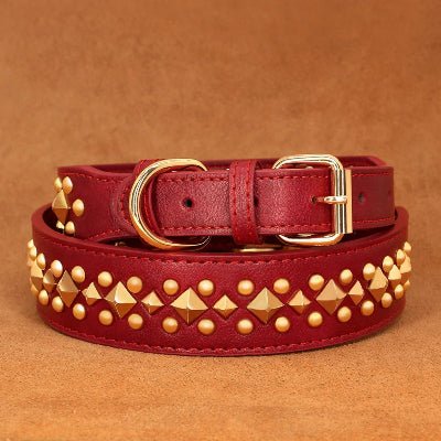 Collier cuir chien | Élégance™ - Chien en balade