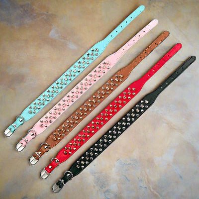 Collier cuir chien| Punkâą - Chien en balade
