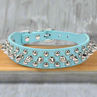 Collier cuir chien bleu| Punkâą - Chien en balade
