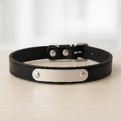 Collier cuir chien|Perso - Nel™ - Chien en balade