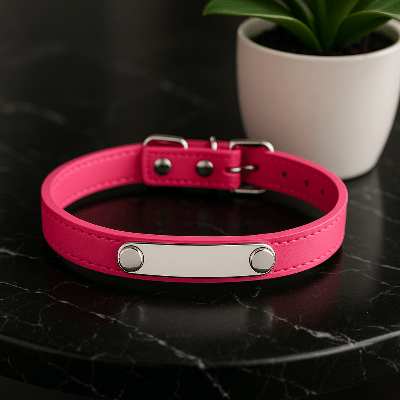 Collier cuir chien|Perso - Nel™ - Chien en balade