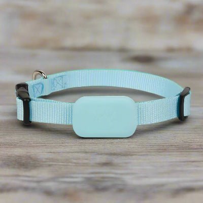 Collier GPS chien| Pastille ™bleu claire - Chien en balade