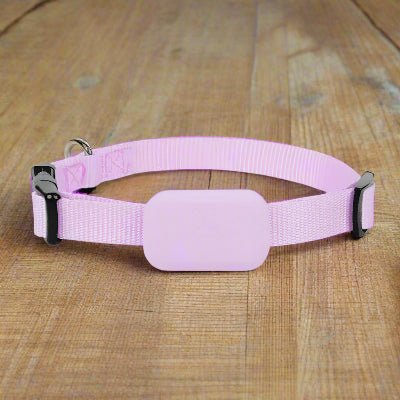 Collier GPS chien| Pastille ™lilas- Chien en balade