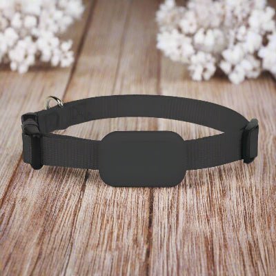 Collier GPS chien| Pastille noir- Chien en balade