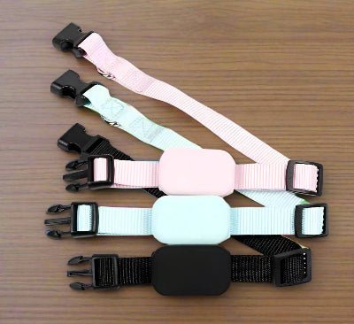Collier GPS chien| Pastille rose- Chien en balade