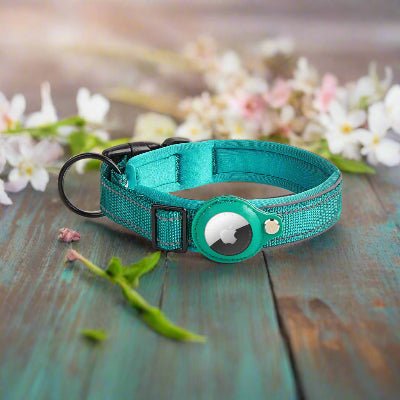 Collier GPS chien |Tagâą - Chien en balade