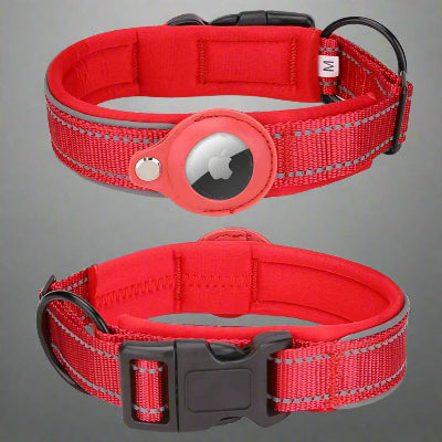 Collier - GPS - chien - Tag rouge - Chien en balade
