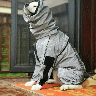 Combinaison imperméable pour chien| CIC⹠- Chien en balade