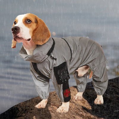 Combinaison impermĂ©able pour chien| CICâąpluie - Chien en balade