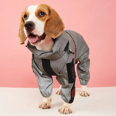 Combinaison imperméable pour chien| CIC⹠- Chien en balade