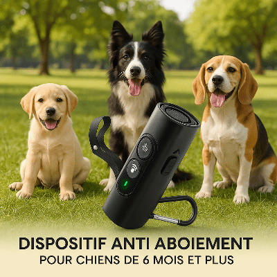 Dispositif anti aboiement | BarkOff™ - Chien en balade