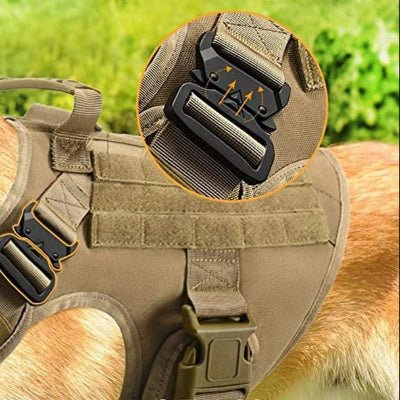 Ensemble harnais militaire pour chien de grande taille - Chien en balade