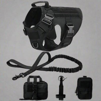 Ensemble harnais militaire pour chien de grande taille - Chien en balade