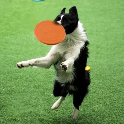 Frisbee-FlyDogâą-Orange-chien-moyen-Chien en balade